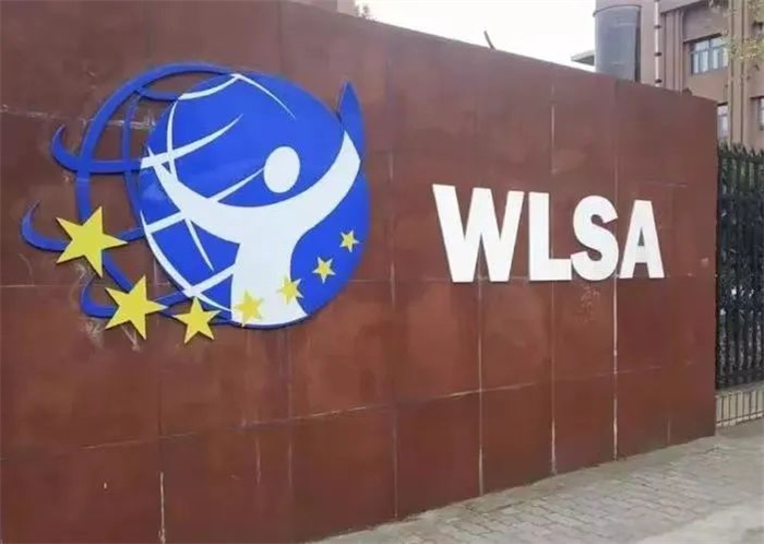 上海领科/WLSA/宋庆龄/华二紫竹等30+国际学校春招考试信息汇总