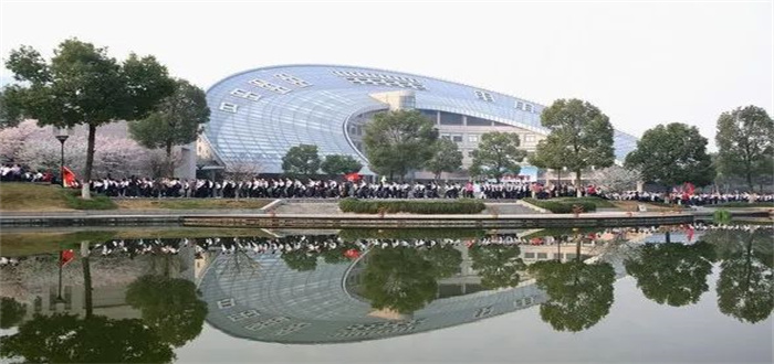 杭州/上海公办国际部、民办国际化学校，有什么区别？