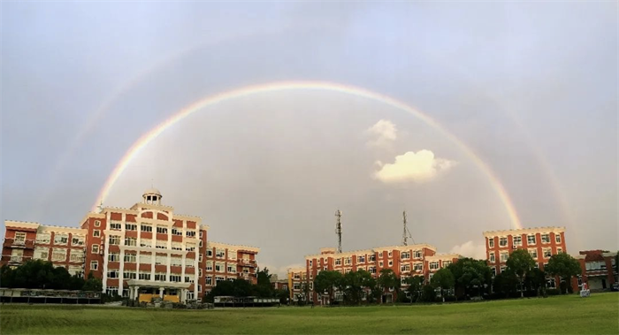 牛剑收割机”领科上海学习压力大不大？就读体验如何