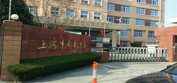 上海有哪些开设了日本课程的国际高中？